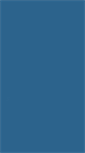 Mobile Screenshot of bigcolor.com