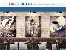 Tablet Screenshot of bigcolor.com